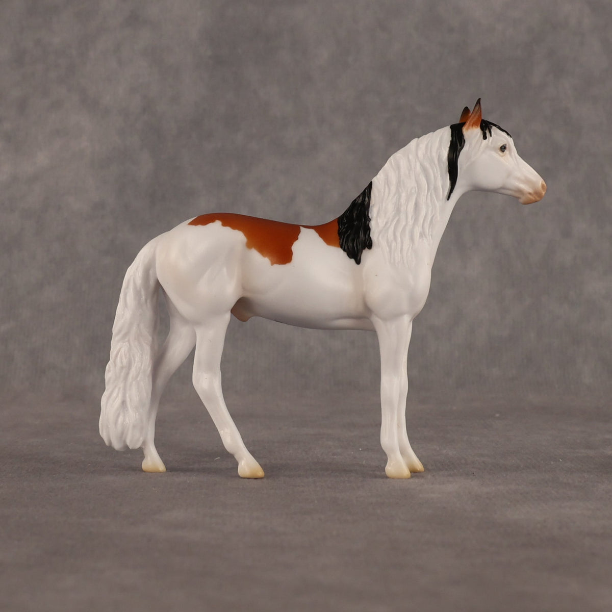 Arthur OOAK Chip Andalusian by Madi Wiseman LHS26