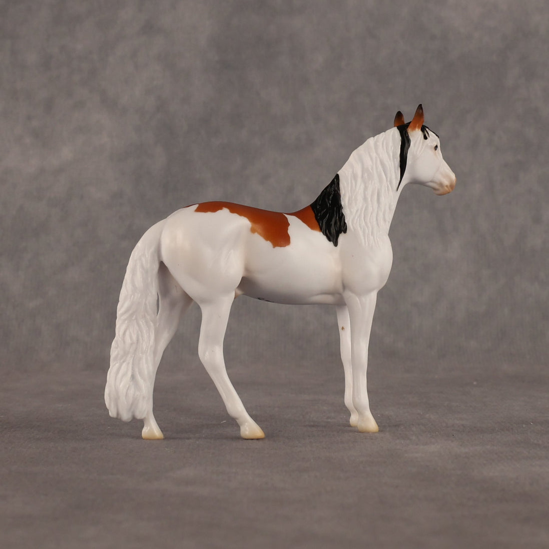 Arthur OOAK Chip Andalusian by Madi Wiseman LHS26
