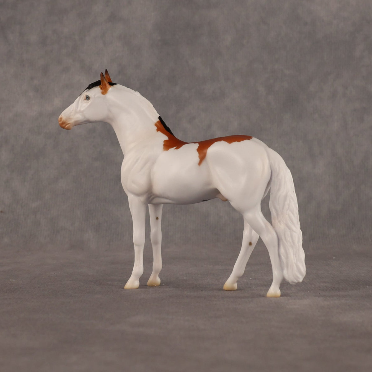 Arthur OOAK Chip Andalusian by Madi Wiseman LHS26
