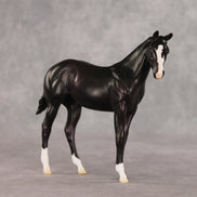 Aubergine OOAK Stock Horse Weanling by Jess Hamill VV26