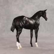 Aubergine OOAK Stock Horse Weanling by Jess Hamill VV26