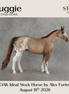 Auggie OOAK Ideal Stock Horse by Alex Fortman DDOOAKs26