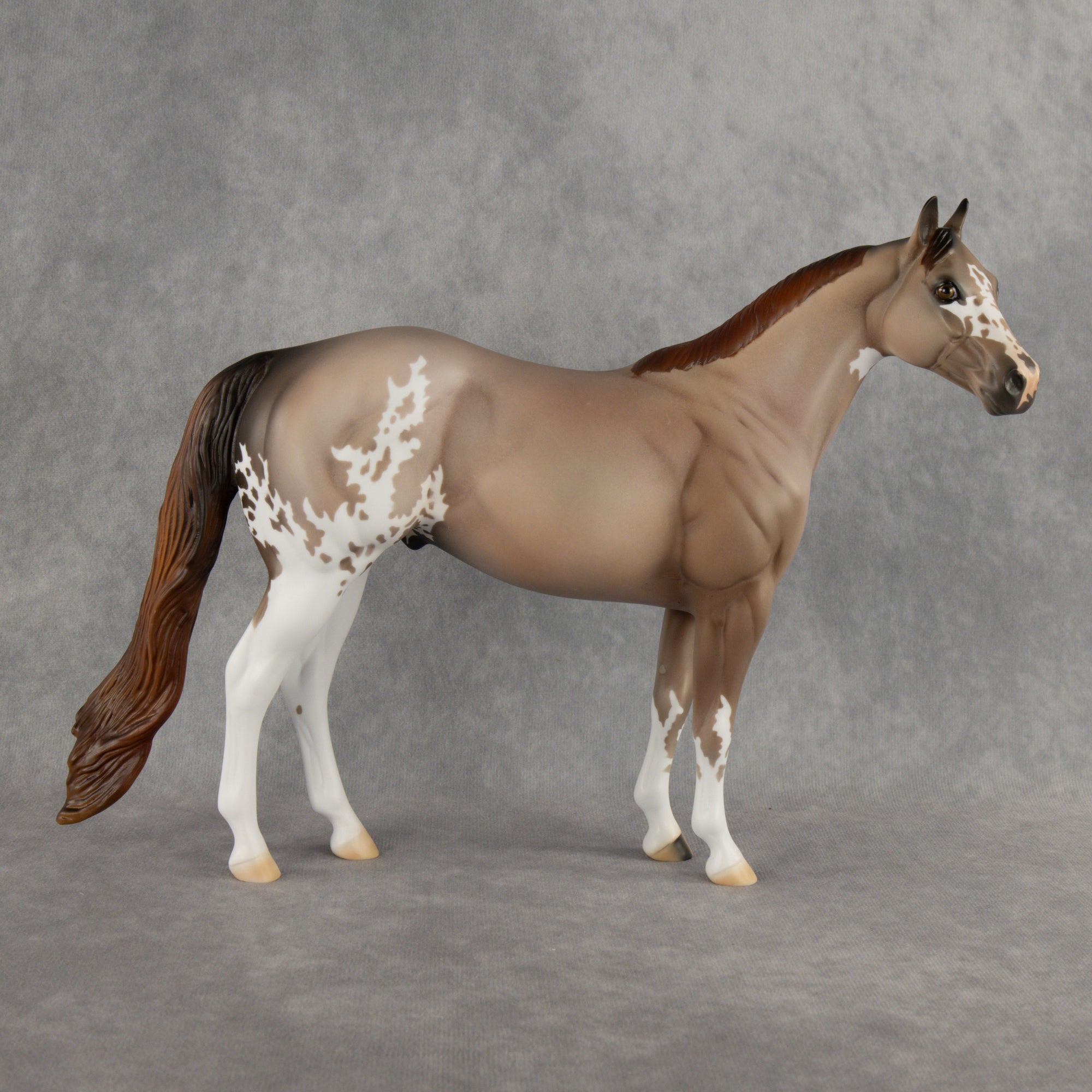 Auggie OOAK Ideal Stock Horse by Alex Fortman DDOOAKs26