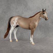 Auggie OOAK Ideal Stock Horse by Alex Fortman DDOOAKs26