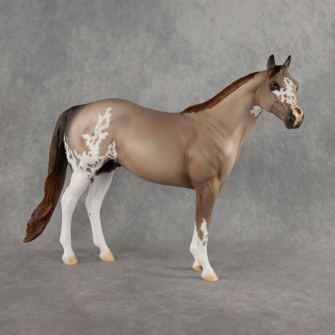 Auggie OOAK Ideal Stock Horse by Alex Fortman DDOOAKs26