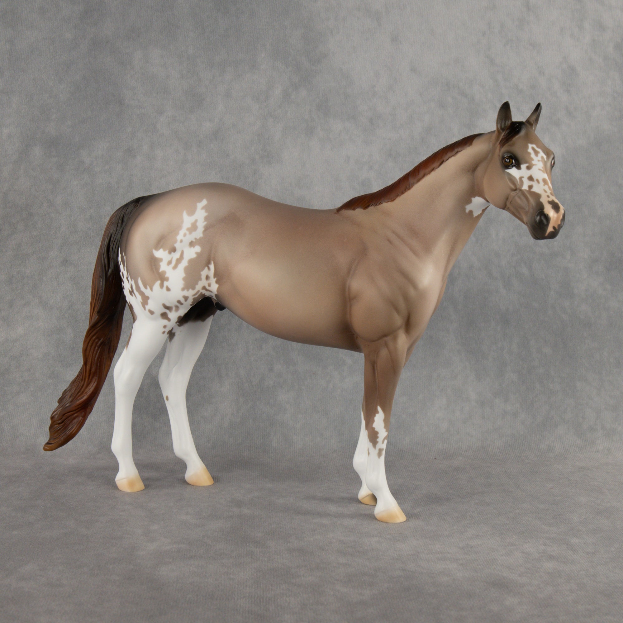Auggie OOAK Ideal Stock Horse by Alex Fortman DDOOAKs26