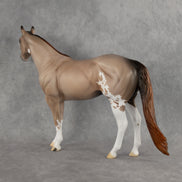 Auggie OOAK Ideal Stock Horse by Alex Fortman DDOOAKs26
