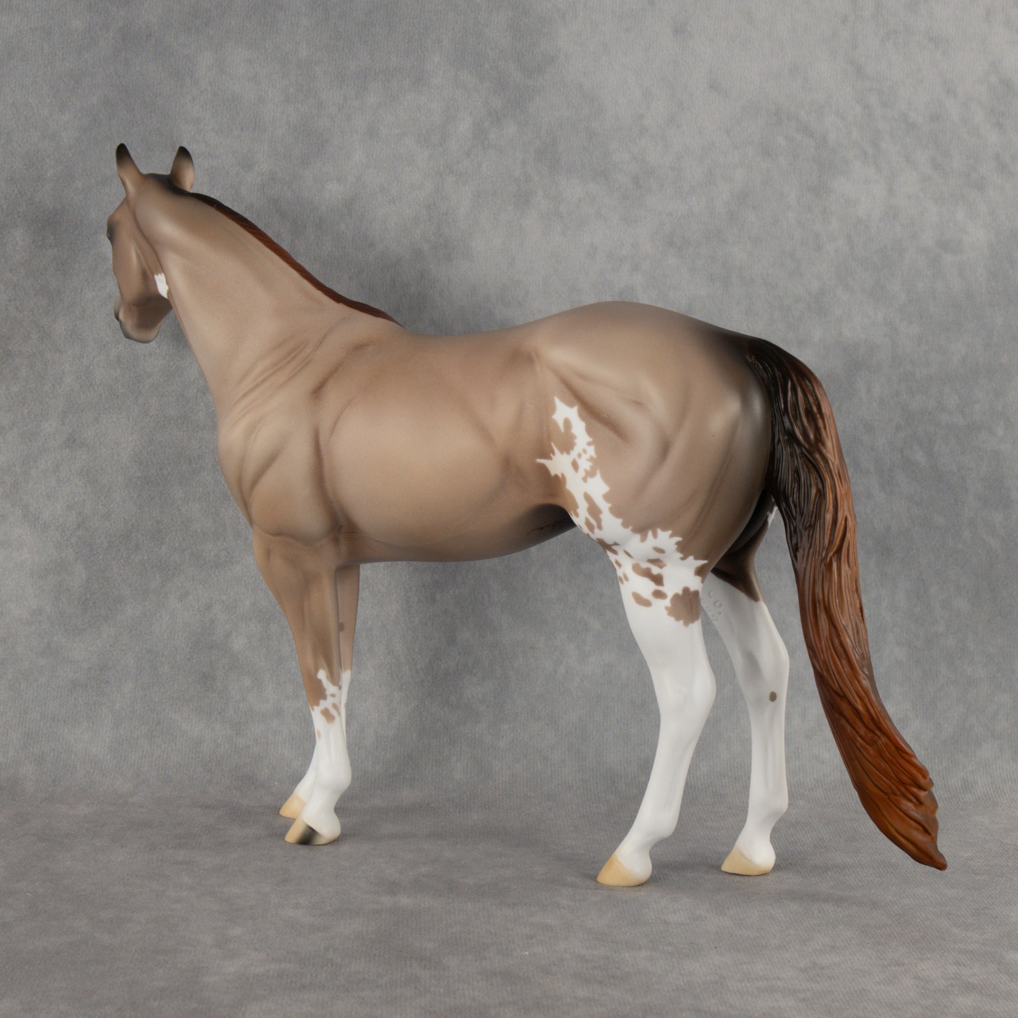 Auggie OOAK Ideal Stock Horse by Alex Fortman DDOOAKs26