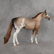 Auggie OOAK Ideal Stock Horse by Alex Fortman DDOOAKs26