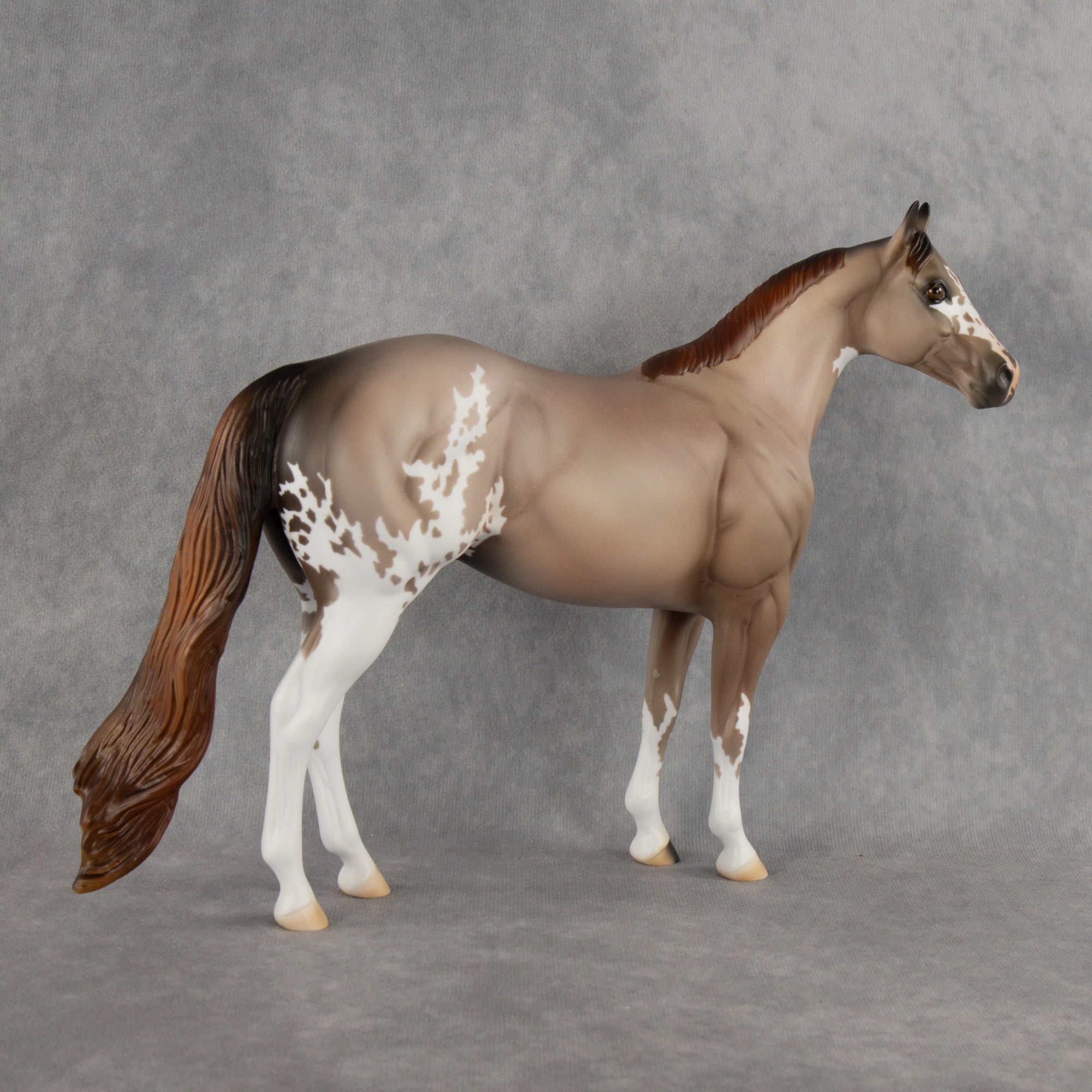 Auggie OOAK Ideal Stock Horse by Alex Fortman DDOOAKs26