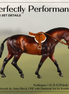 Wellington LE-15 FCM Irish Draught by Anna Rieck PFP26