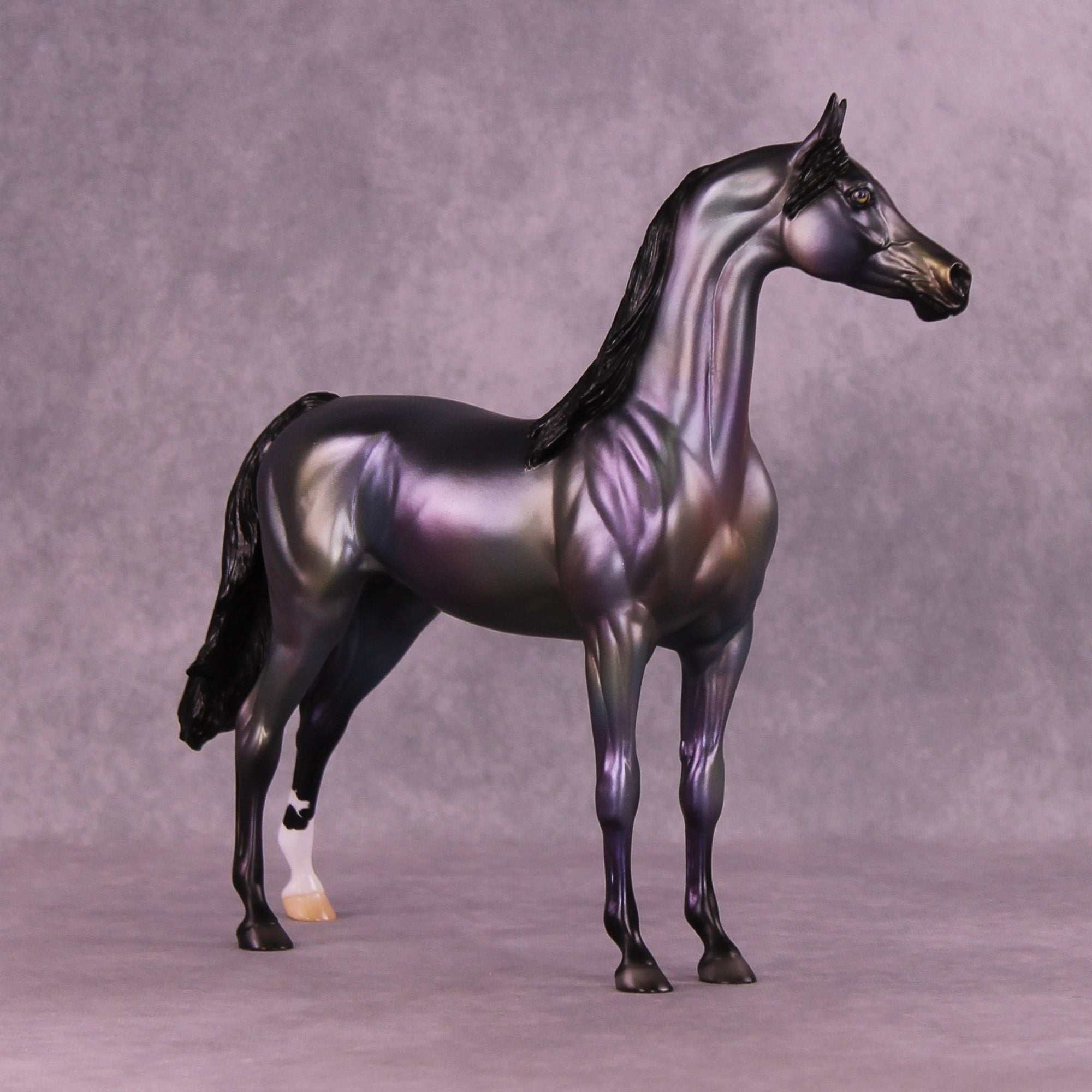 Aura OOAK Arabian Stallion by Jess Hamill MM25 Group D