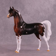 Autumnal Red OOAK Arabian Stallion by Anna Rieck MM25 Group D