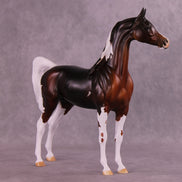Autumnal Red OOAK Arabian Stallion by Anna Rieck MM25 Group D