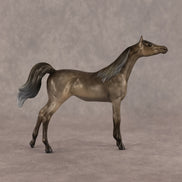Aziza OOAK FCM Chip Arabian by Kristen Cermele GS26