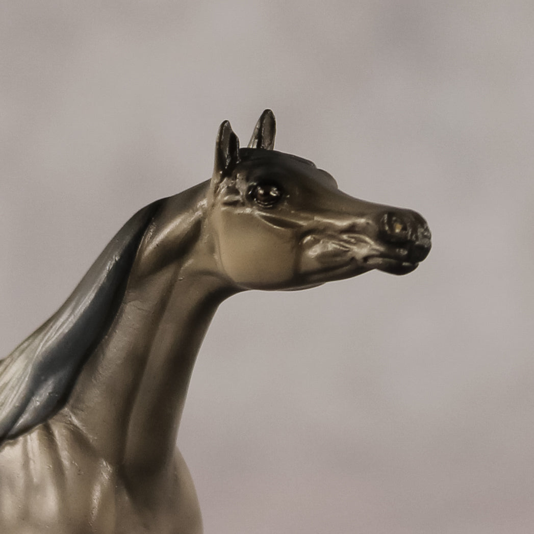 Aziza OOAK FCM Chip Arabian by Kristen Cermele GS26