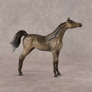 Aziza OOAK FCM Chip Arabian by Kristen Cermele GS26