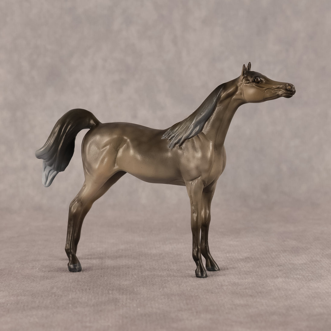Aziza OOAK FCM Chip Arabian by Kristen Cermele GS26
