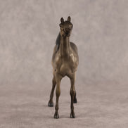 Aziza OOAK FCM Chip Arabian by Kristen Cermele GS26