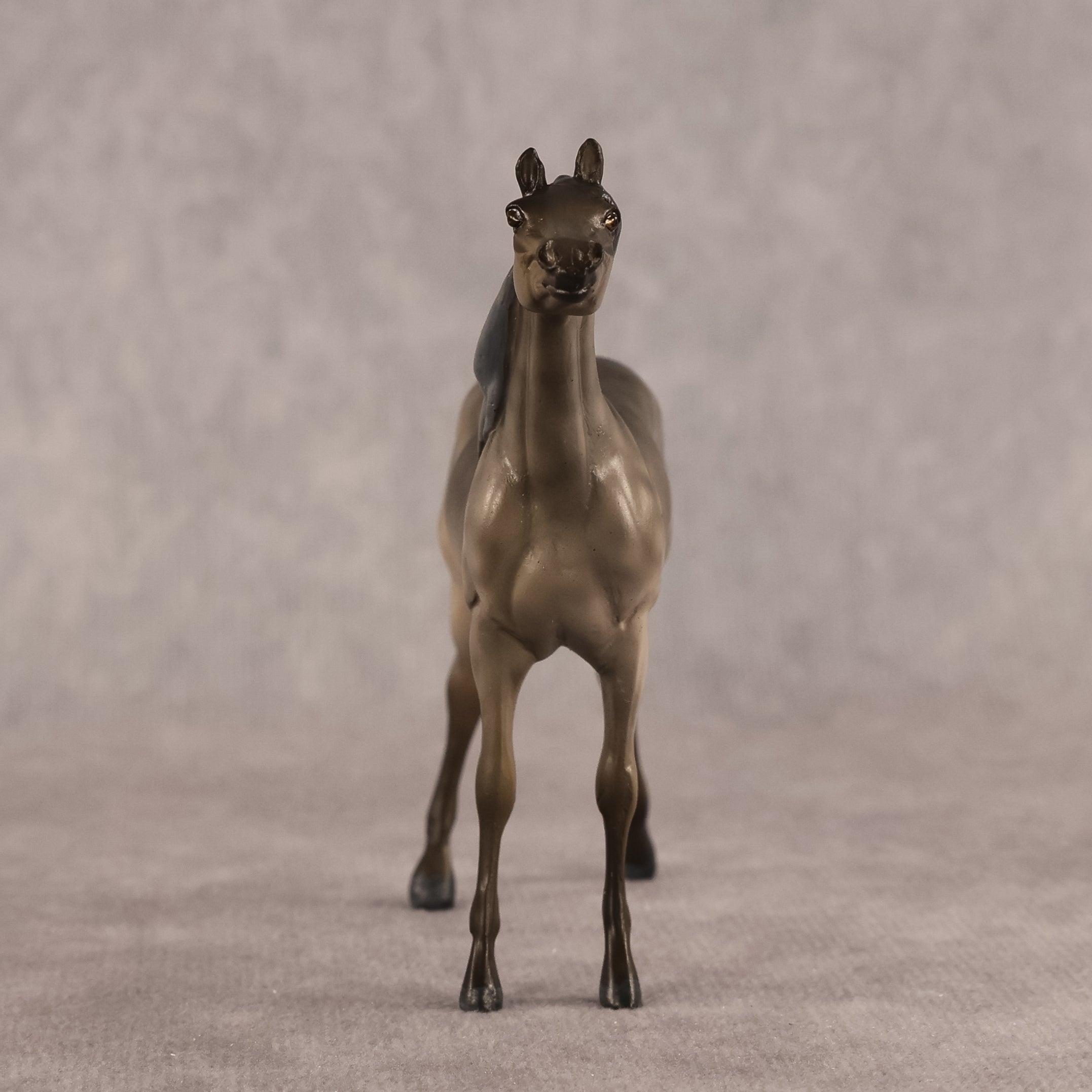 Aziza OOAK FCM Chip Arabian by Kristen Cermele GS26
