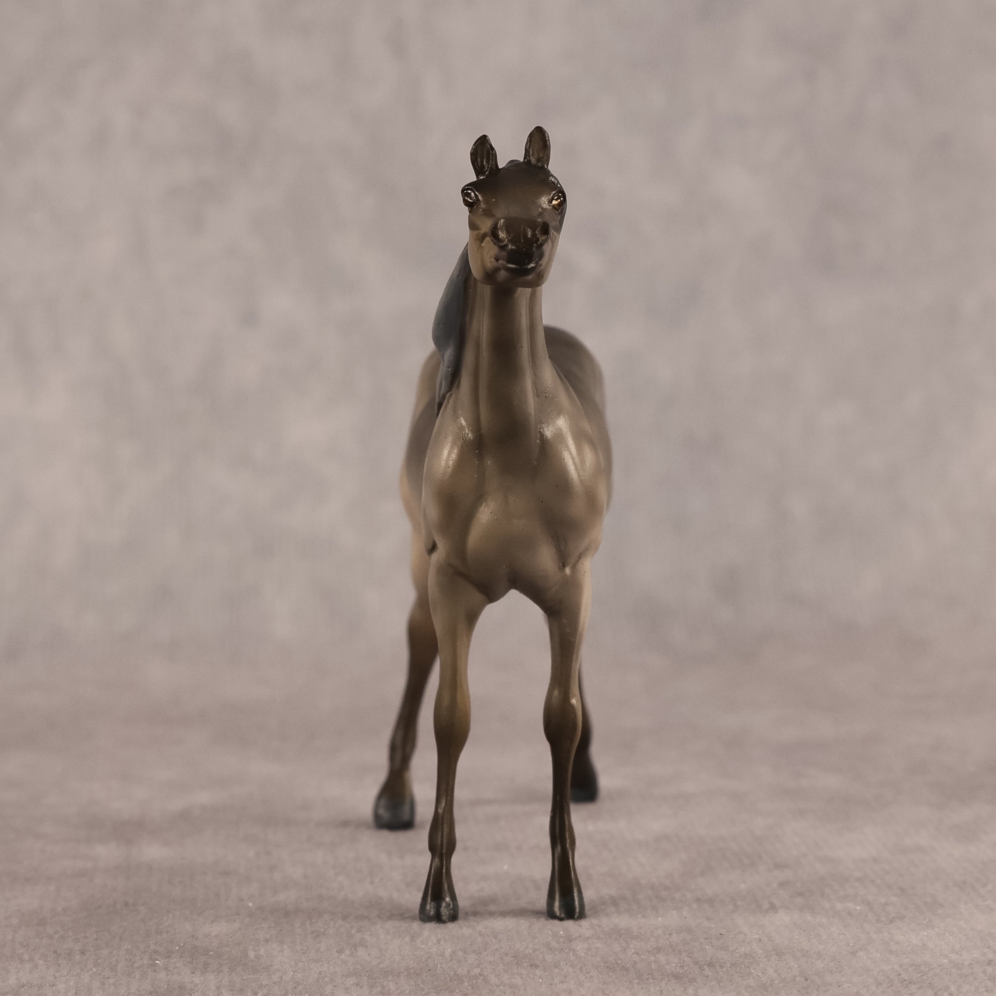 Aziza OOAK FCM Chip Arabian by Kristen Cermele GS26