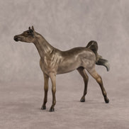Aziza OOAK FCM Chip Arabian by Kristen Cermele GS26