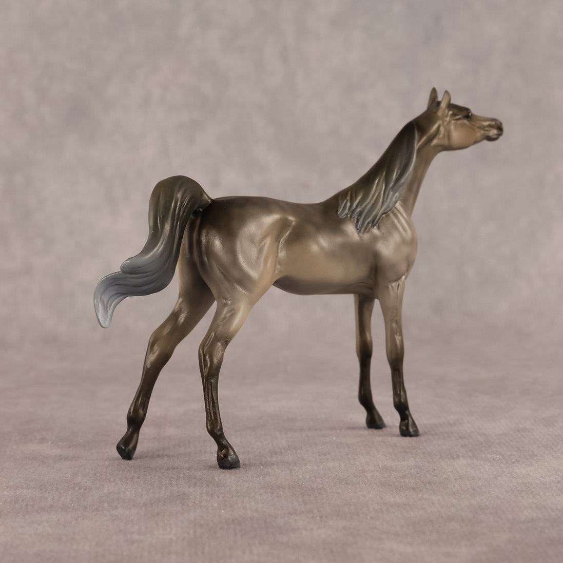 Aziza OOAK FCM Chip Arabian by Kristen Cermele GS26