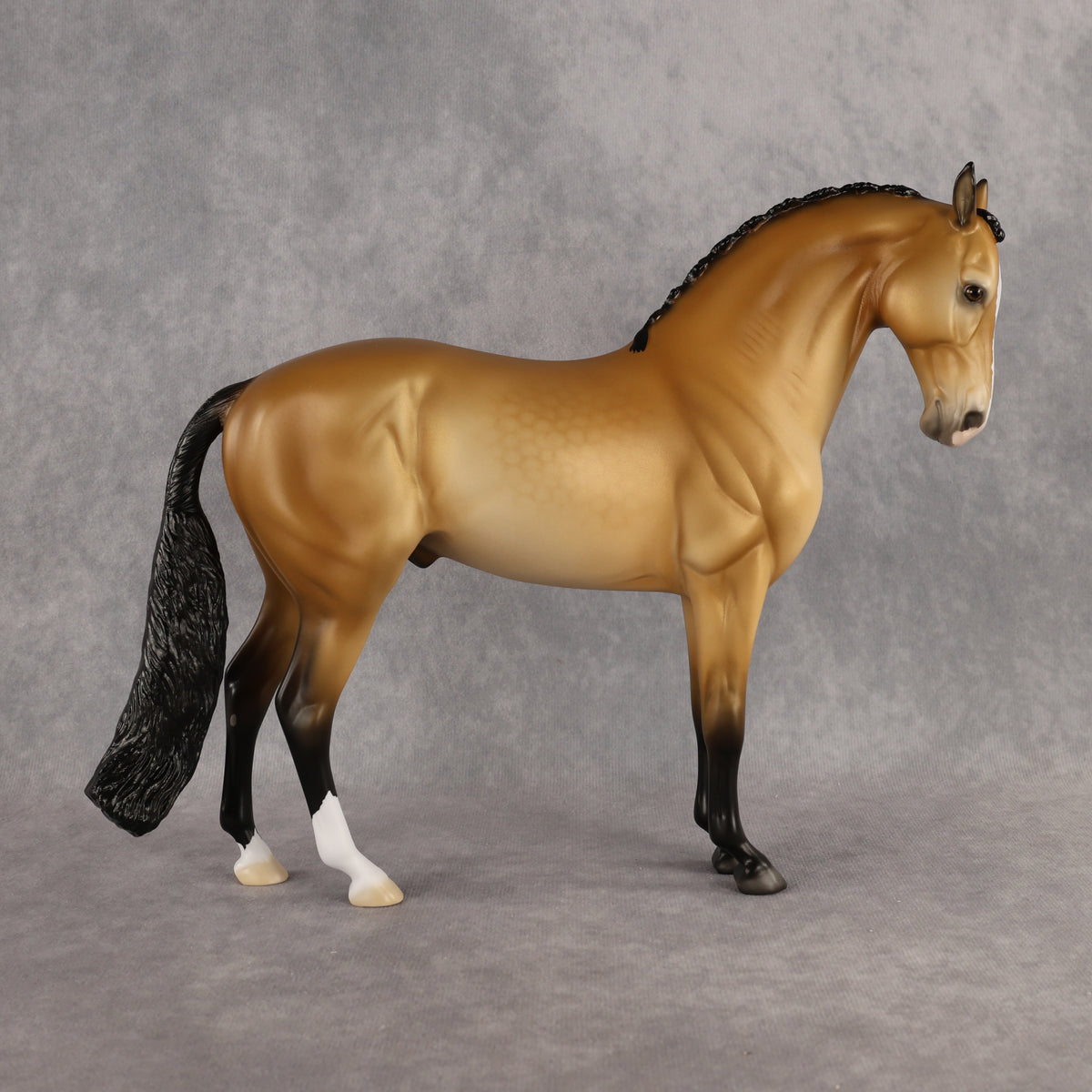 Azúcar LE-20 FCM Andalusian by Ellen Robbins HM26