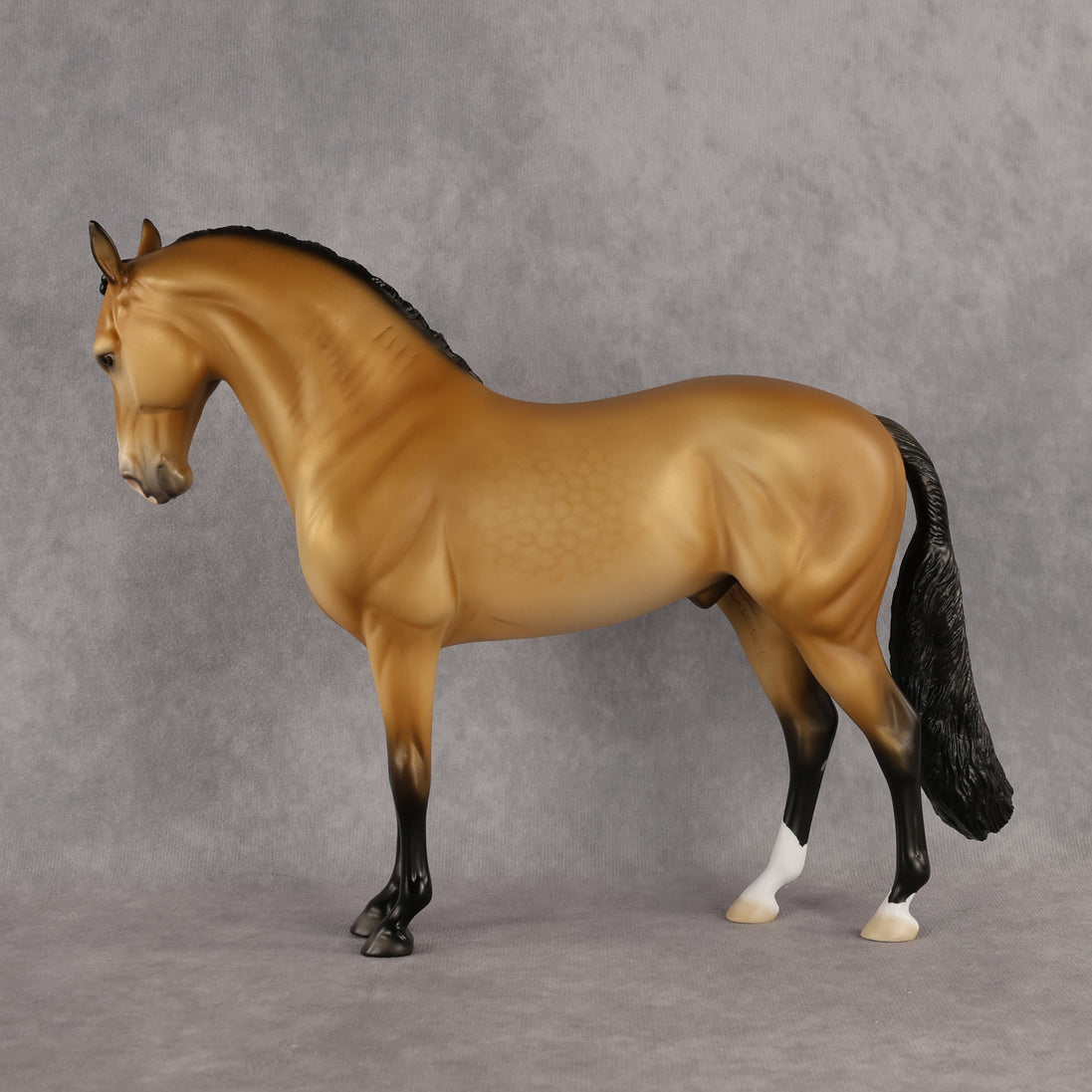 Azúcar LE-20 FCM Andalusian by Ellen Robbins HM26
