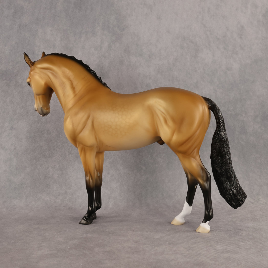 Azúcar LE-20 FCM Andalusian by Ellen Robbins HM26