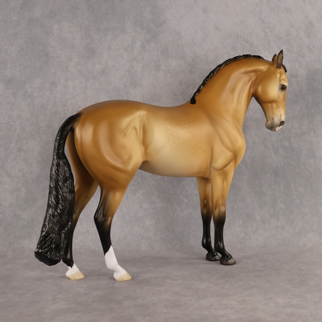 Azúcar LE-20 FCM Andalusian by Ellen Robbins HM26
