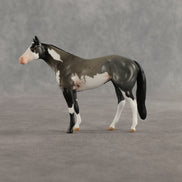 Azul & Cyan OOAK Chip FCM Stock Horse & Chip Foal by Anna Rieck SCD26