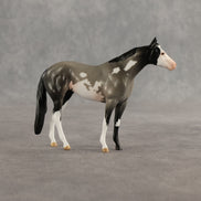 Azul & Cyan OOAK Chip FCM Stock Horse & Chip Foal by Anna Rieck SCD26