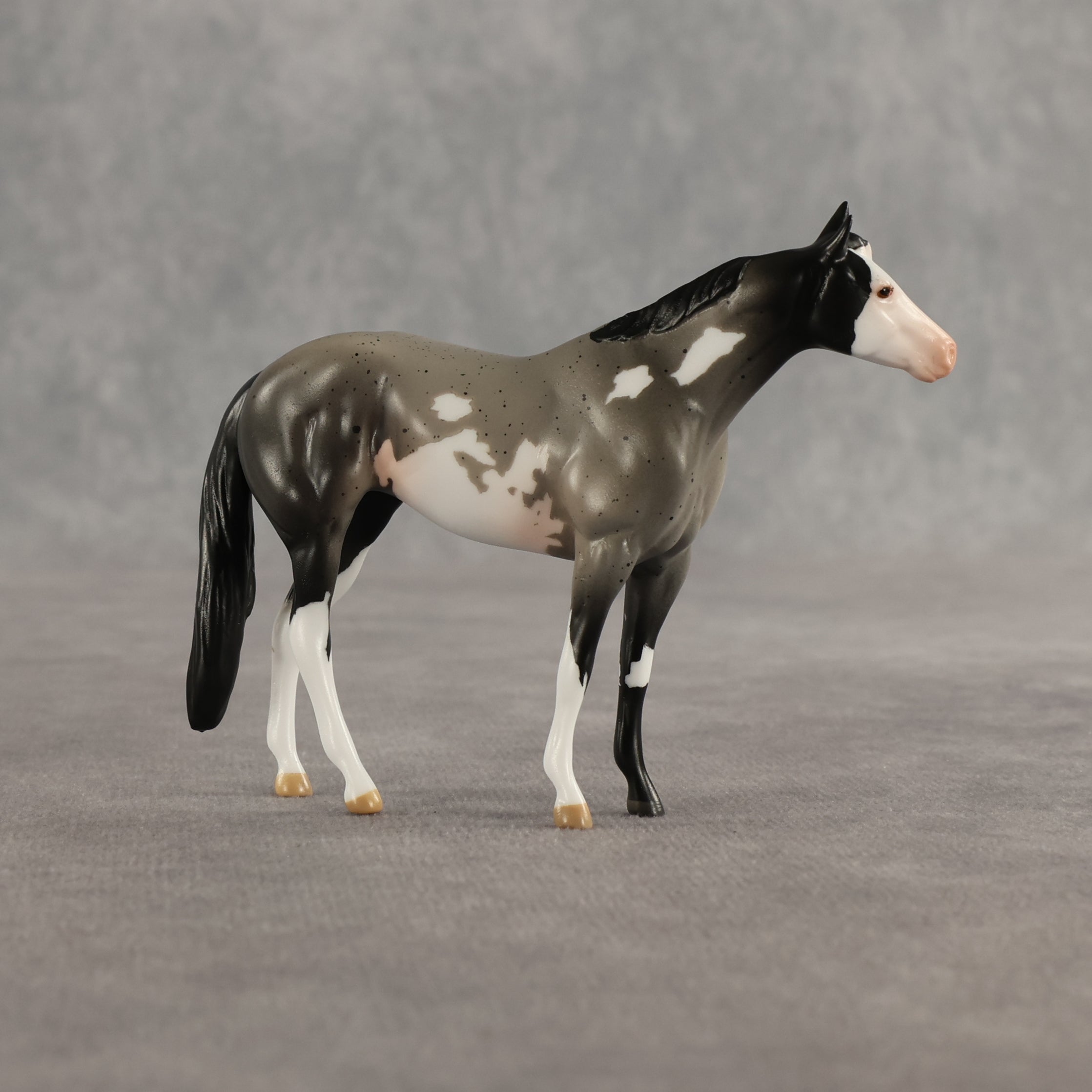 Azul & Cyan OOAK Chip FCM Stock Horse & Chip Foal by Anna Rieck SCD26