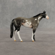 Azul & Cyan OOAK Chip FCM Stock Horse & Chip Foal by Anna Rieck SCD26