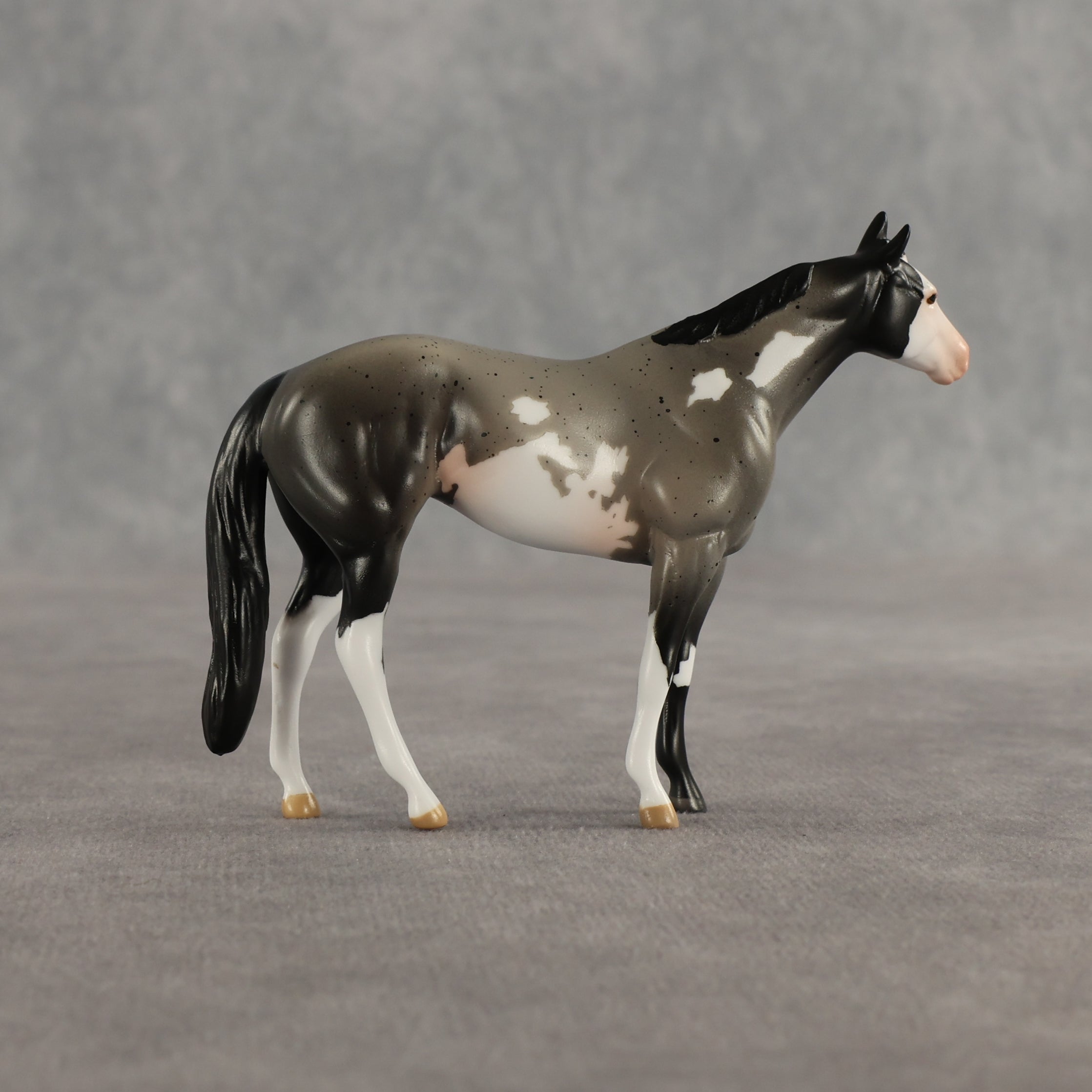 Azul & Cyan OOAK Chip FCM Stock Horse & Chip Foal by Anna Rieck SCD26
