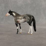 Azul & Cyan OOAK Chip FCM Stock Horse & Chip Foal by Anna Rieck SCD26