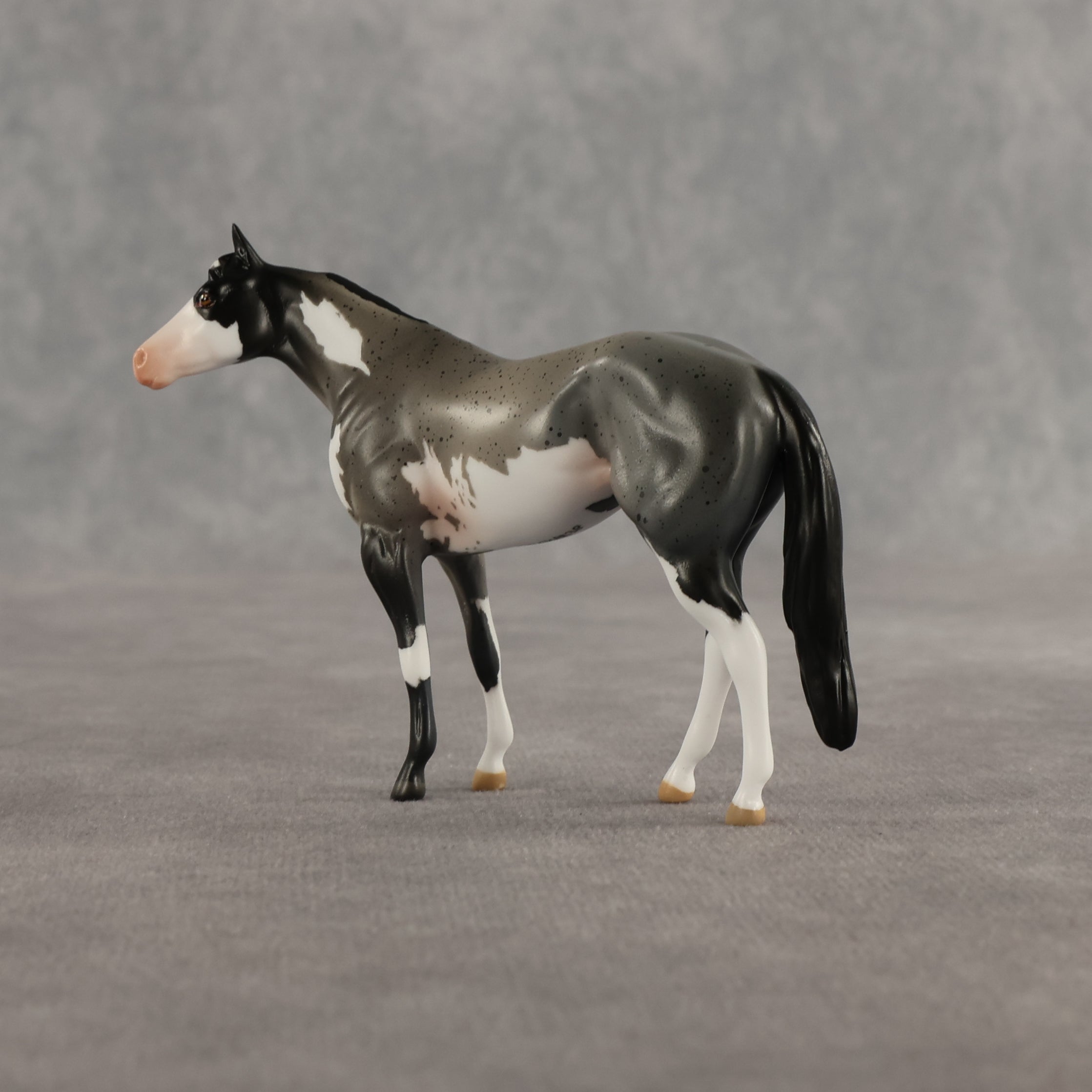 Azul & Cyan OOAK Chip FCM Stock Horse & Chip Foal by Anna Rieck SCD26