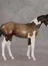 Baba Ganoush OOAK Stock Horse Weanling by Jess Hamill VV26