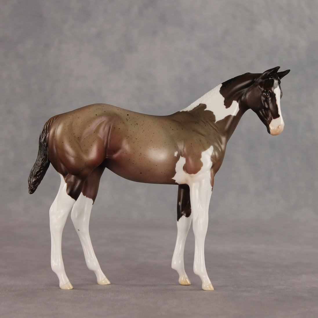 Baba Ganoush OOAK Stock Horse Weanling by Jess Hamill VV26