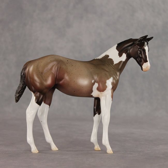 Baba Ganoush OOAK Stock Horse Weanling by Jess Hamill VV26