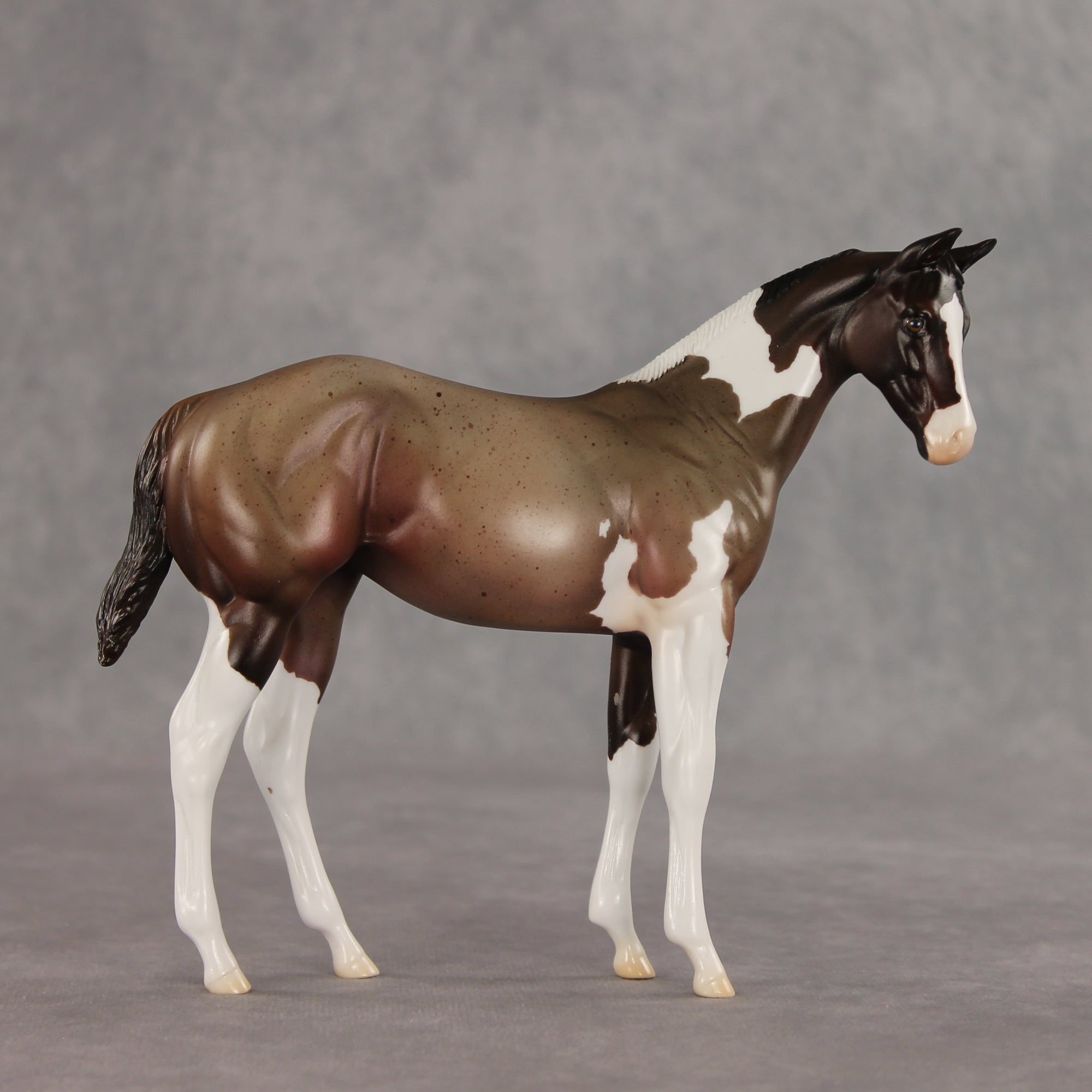 Baba Ganoush OOAK Stock Horse Weanling by Jess Hamill VV26
