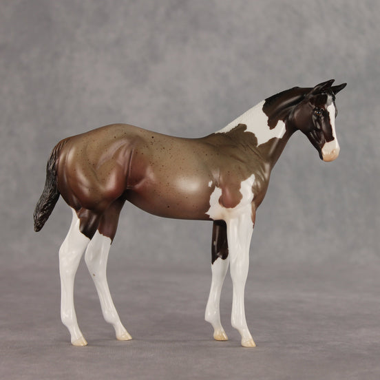 Baba Ganoush OOAK Stock Horse Weanling by Jess Hamill VV26