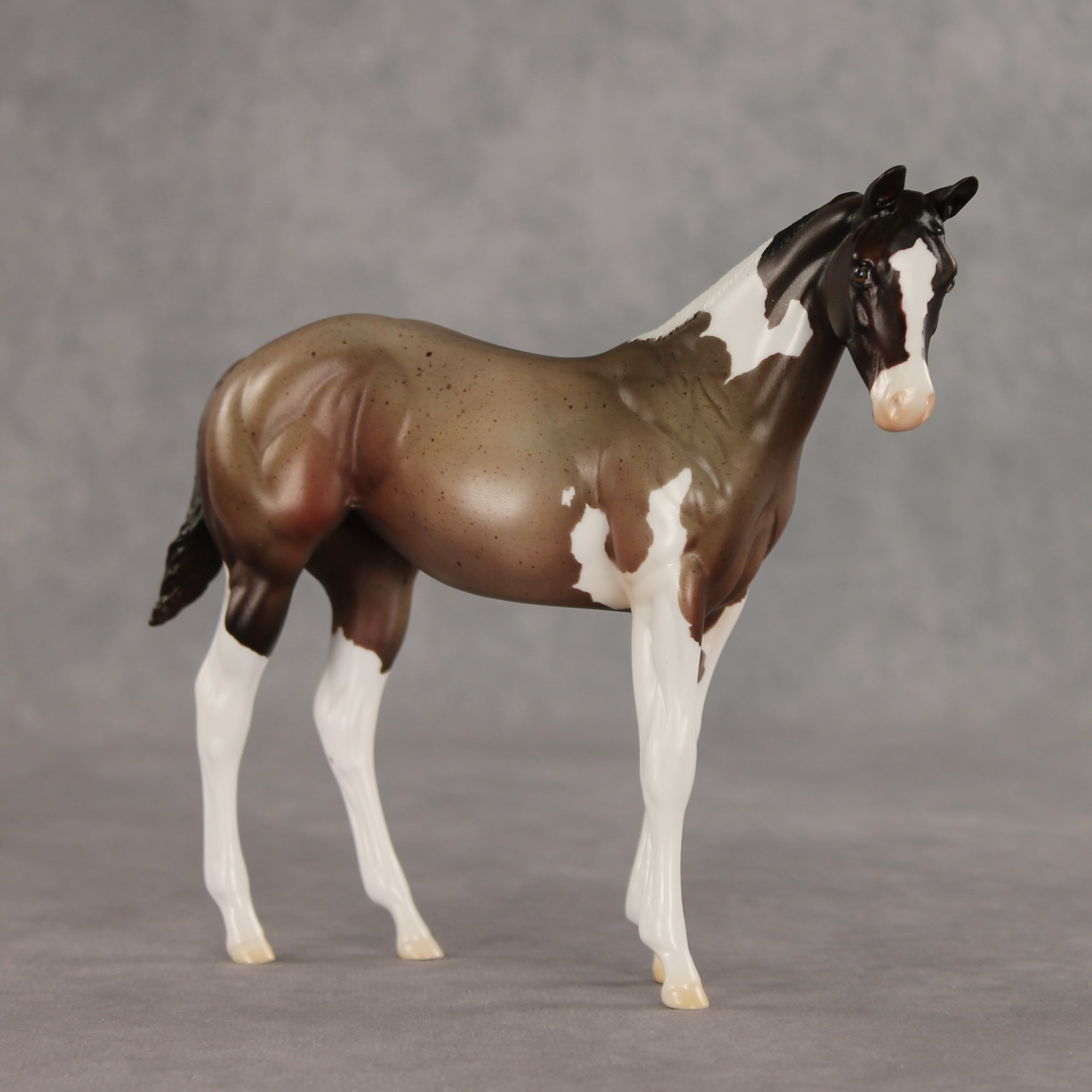 Baba Ganoush OOAK Stock Horse Weanling by Jess Hamill VV26