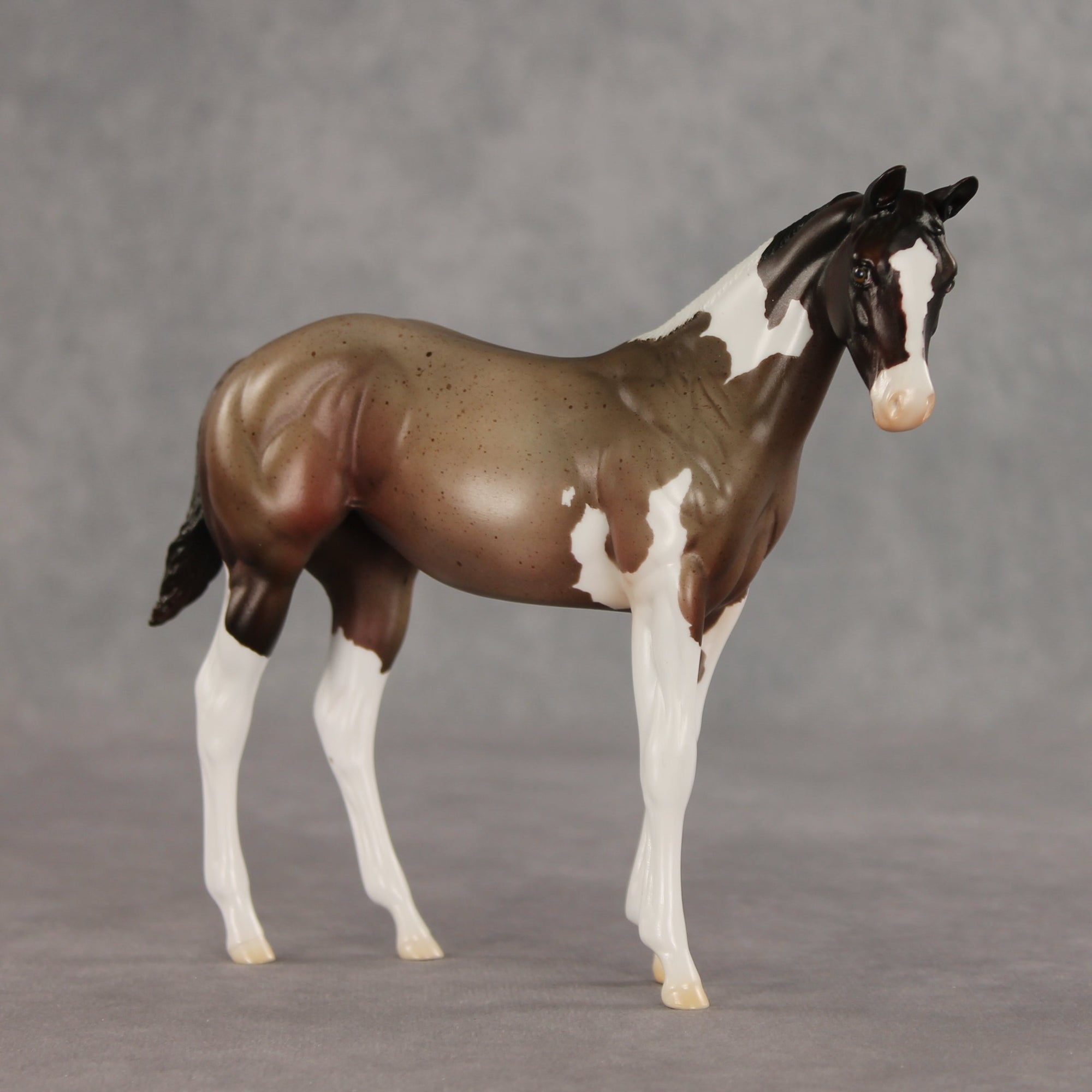 Baba Ganoush OOAK Stock Horse Weanling by Jess Hamill VV26