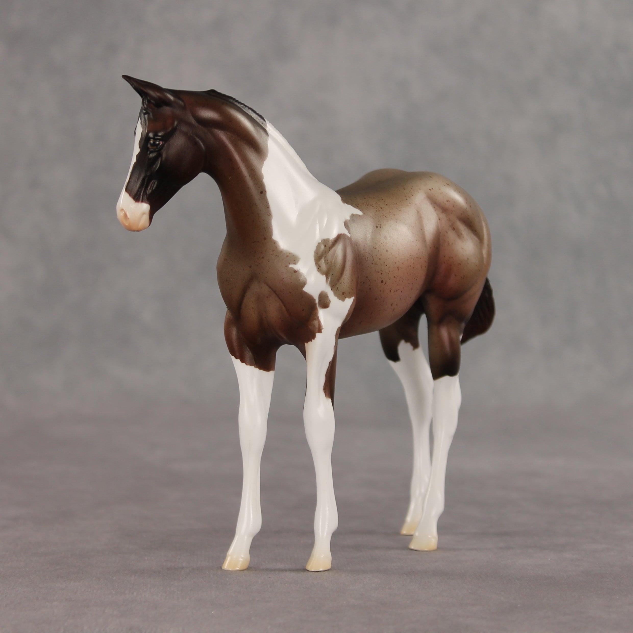 Baba Ganoush OOAK Stock Horse Weanling by Jess Hamill VV26