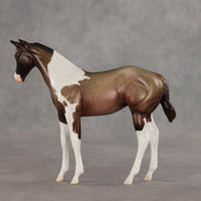 Baba Ganoush OOAK Stock Horse Weanling by Jess Hamill VV26