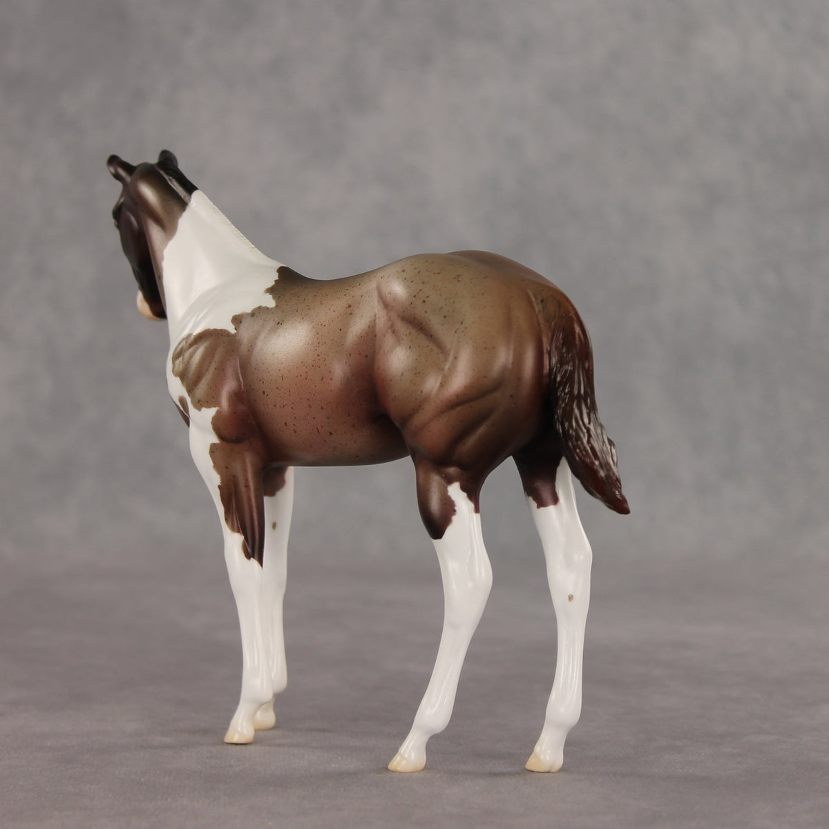 Baba Ganoush OOAK Stock Horse Weanling by Jess Hamill VV26