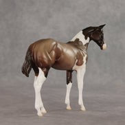 Baba Ganoush OOAK Stock Horse Weanling by Jess Hamill VV26