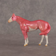 Baby OOAK FCM Chip Stock Horse by Erin Corbett EQ26